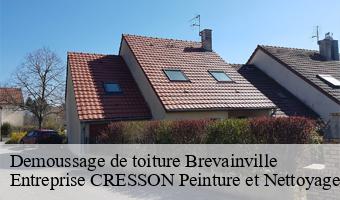 Demoussage de toiture  brevainville-41160 Entreprise CRESSON Peinture et Nettoyage