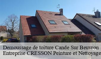 Demoussage de toiture  cande-sur-beuvron-41120 Entreprise CRESSON Peinture et Nettoyage