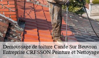 Demoussage de toiture  cande-sur-beuvron-41120 Entreprise CRESSON Peinture et Nettoyage