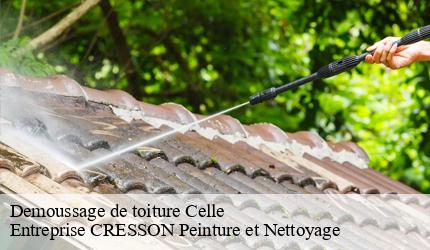 Demoussage de toiture  celle-41360 Entreprise CRESSON Peinture et Nettoyage