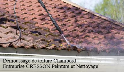 Demoussage de toiture  chambord-41250 Entreprise CRESSON Peinture et Nettoyage