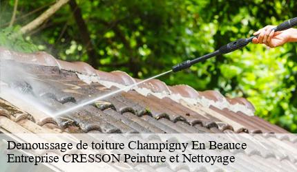 Demoussage de toiture  champigny-en-beauce-41330 Entreprise CRESSON Peinture et Nettoyage