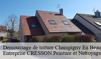 Demoussage de toiture  champigny-en-beauce-41330 Entreprise CRESSON Peinture et Nettoyage