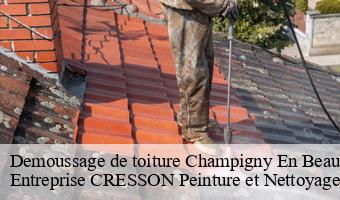 Demoussage de toiture  champigny-en-beauce-41330 Entreprise CRESSON Peinture et Nettoyage