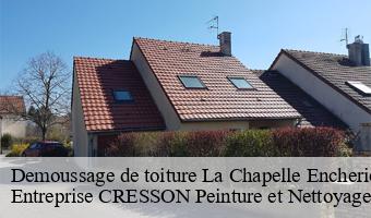 Demoussage de toiture  la-chapelle-encherie-41290 Entreprise CRESSON Peinture et Nettoyage