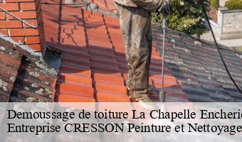 Demoussage de toiture  la-chapelle-encherie-41290 Entreprise CRESSON Peinture et Nettoyage