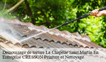 Demoussage de toiture  la-chapelle-saint-martin-en-41500 Entreprise CRESSON Peinture et Nettoyage