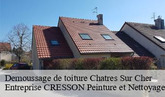 Demoussage de toiture  chatres-sur-cher-41320 Entreprise CRESSON Peinture et Nettoyage