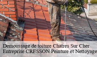 Demoussage de toiture  chatres-sur-cher-41320 Entreprise CRESSON Peinture et Nettoyage