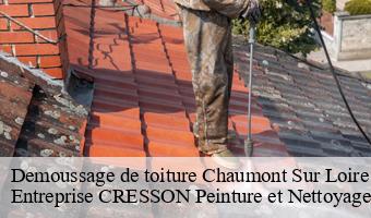 Demoussage de toiture  chaumont-sur-loire-41150 Entreprise CRESSON Peinture et Nettoyage