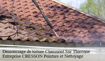 Demoussage de toiture  chaumont-sur-tharonne-41600 Entreprise CRESSON Peinture et Nettoyage