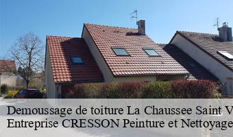 Demoussage de toiture  la-chaussee-saint-victor-41260 Entreprise CRESSON Peinture et Nettoyage