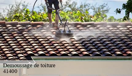 Demoussage de toiture  chissay-en-touraine-41400 Entreprise CRESSON Peinture et Nettoyage