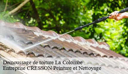 Demoussage de toiture  la-colombe-41160 Entreprise CRESSON Peinture et Nettoyage