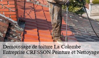 Demoussage de toiture  la-colombe-41160 Entreprise CRESSON Peinture et Nettoyage