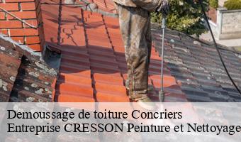 Demoussage de toiture  concriers-41370 Entreprise CRESSON Peinture et Nettoyage