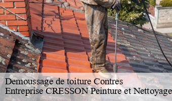 Demoussage de toiture  contres-41700 Entreprise CRESSON Peinture et Nettoyage