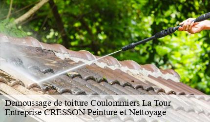 Demoussage de toiture  coulommiers-la-tour-41100 Entreprise CRESSON Peinture et Nettoyage