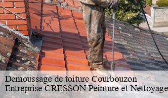 Demoussage de toiture  courbouzon-41500 Entreprise CRESSON Peinture et Nettoyage