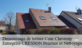 Demoussage de toiture  cour-cheverny-41700 Entreprise CRESSON Peinture et Nettoyage