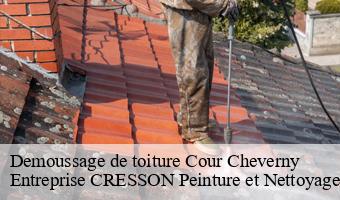 Demoussage de toiture  cour-cheverny-41700 Entreprise CRESSON Peinture et Nettoyage