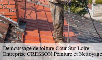 Demoussage de toiture  cour-sur-loire-41500 Entreprise CRESSON Peinture et Nettoyage