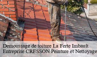 Demoussage de toiture  la-ferte-imbault-41300 Entreprise CRESSON Peinture et Nettoyage