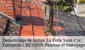 Demoussage de toiture  la-ferte-saint-cyr-41220 Entreprise CRESSON Peinture et Nettoyage