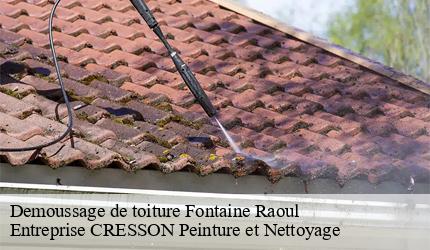 Demoussage de toiture  fontaine-raoul-41270 Entreprise CRESSON Peinture et Nettoyage