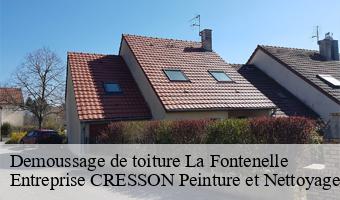 Demoussage de toiture  la-fontenelle-41270 Entreprise CRESSON Peinture et Nettoyage