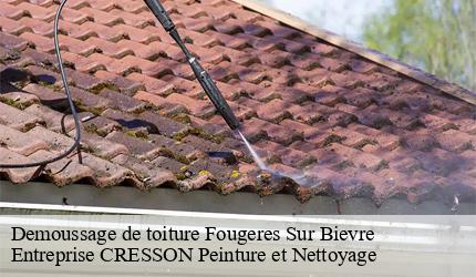 Demoussage de toiture  fougeres-sur-bievre-41120 Entreprise CRESSON Peinture et Nettoyage