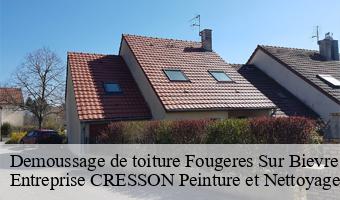 Demoussage de toiture  fougeres-sur-bievre-41120 Entreprise CRESSON Peinture et Nettoyage