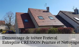 Demoussage de toiture  freteval-41160 Entreprise CRESSON Peinture et Nettoyage