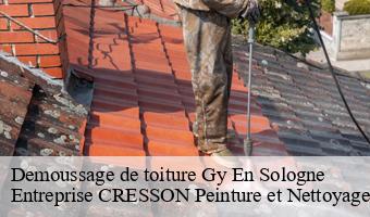 Demoussage de toiture  gy-en-sologne-41230 Entreprise CRESSON Peinture et Nettoyage