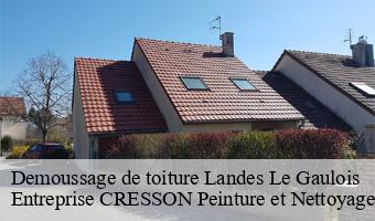 Demoussage de toiture  landes-le-gaulois-41190 Entreprise CRESSON Peinture et Nettoyage