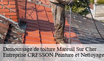 Demoussage de toiture  mareuil-sur-cher-41110 Entreprise CRESSON Peinture et Nettoyage