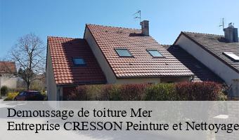 Demoussage de toiture  mer-41500 Entreprise CRESSON Peinture et Nettoyage