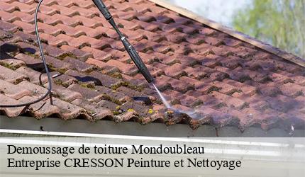 Demoussage de toiture  mondoubleau-41170 Entreprise CRESSON Peinture et Nettoyage