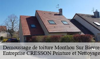 Demoussage de toiture  monthou-sur-bievre-41120 Entreprise CRESSON Peinture et Nettoyage