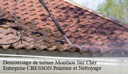 Demoussage de toiture  monthou-sur-cher-41400 Entreprise CRESSON Peinture et Nettoyage