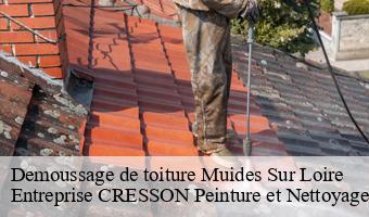 Demoussage de toiture  muides-sur-loire-41500 Entreprise CRESSON Peinture et Nettoyage