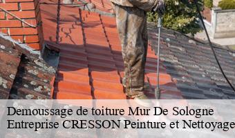 Demoussage de toiture  mur-de-sologne-41230 Entreprise CRESSON Peinture et Nettoyage