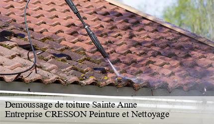 Demoussage de toiture  sainte-anne-41100 Entreprise CRESSON Peinture et Nettoyage