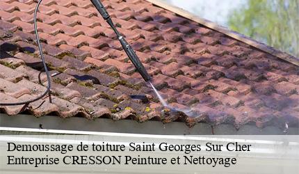 Demoussage de toiture  saint-georges-sur-cher-41400 Entreprise CRESSON Peinture et Nettoyage