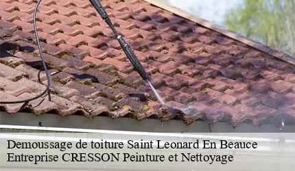 Demoussage de toiture  saint-leonard-en-beauce-41370 Entreprise CRESSON Peinture et Nettoyage