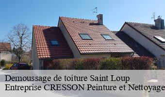 Demoussage de toiture  saint-loup-41320 Entreprise CRESSON Peinture et Nettoyage