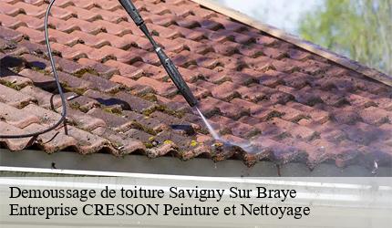 Demoussage de toiture  savigny-sur-braye-41360 Entreprise CRESSON Peinture et Nettoyage