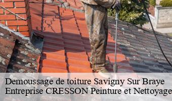 Demoussage de toiture  savigny-sur-braye-41360 Entreprise CRESSON Peinture et Nettoyage