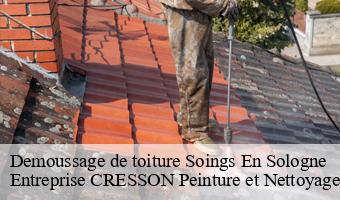 Demoussage de toiture  soings-en-sologne-41230 Entreprise CRESSON Peinture et Nettoyage