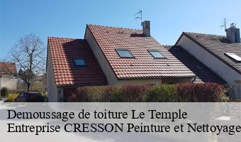 Demoussage de toiture  le-temple-41170 Entreprise CRESSON Peinture et Nettoyage